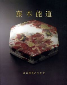藤本能道展　命の残照のなかで/のサムネール