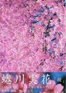 桜/蜷川実花のサムネール