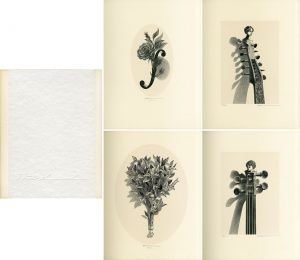 柄澤斎　小口木版画集　1971-1991　特装本/Hitoshi Karasawaのサムネール