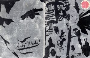 アンディ・ウォーホル　Andy Warhol's Index Book/Andy Warholのサムネール
