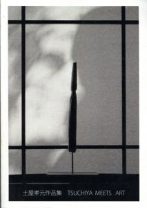 土屋孝元作品集　Tsuchiya Meets Art/