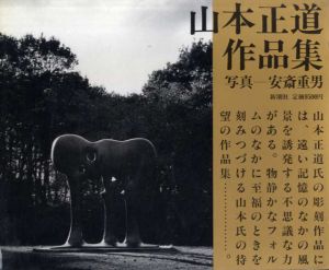 山本正道作品集/安斎重男写真のサムネール