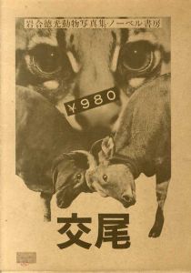 交尾　岩合徳光動物写真集/岩合徳光