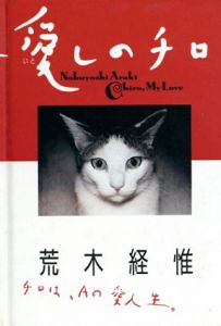 愛しのチロ/荒木経惟