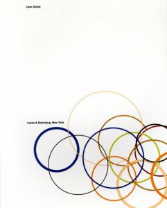 リアム・ギリック　Liam Gillick/