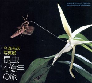 昆虫4億年の旅　今森光彦写真展/東京都写真美術館編