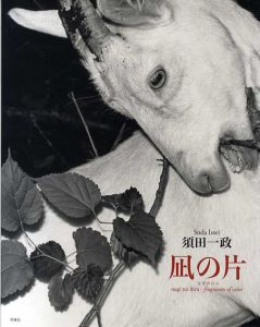 凪の片/須田一政のサムネール