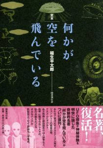 何かが空を飛んでいる/稲生平太郎のサムネール