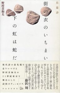 街の衣のいちまい下の蛇は虹だ/野村喜和夫のサムネール