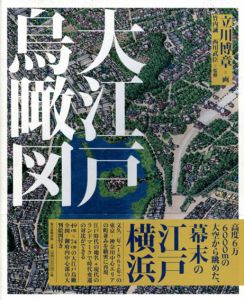 大江戸鳥瞰図/立川博章　竹内誠/西川武臣監修のサムネール