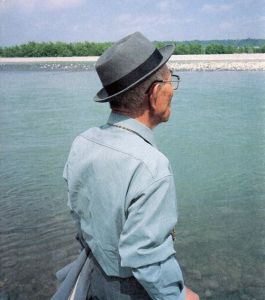 若木信吾写真集　Young Tree/若木信吾のサムネール