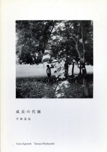 成長の代価/平林達也