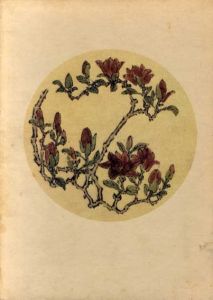 柴田真哉　開化期の異色画家/鹿島卯女のサムネール
