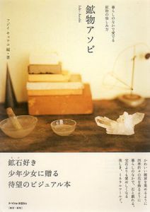鉱物アソビ　暮らしのなかで愛でる鉱物の愉しみ方　P-Vine Books/フジイキョウコのサムネール