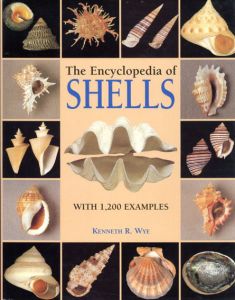 Encyclopedia of Shells/Kenneth R. Wyeのサムネール