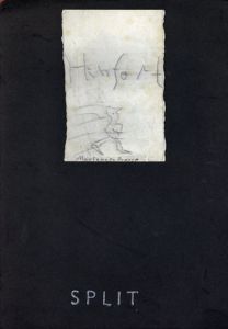 スプリット　Split: Hinfort Gebundene Ausgabe
/Splitのサムネール