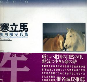 寒立馬　細川剛写真集/細川剛のサムネール