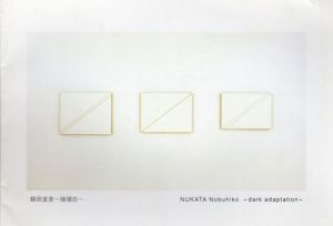 額田宣彦　暗順応/のサムネール