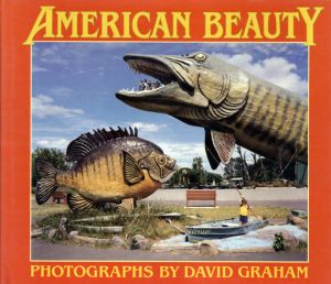 デイヴィッド・グラハム写真集　David Graham: American Beauty/Guy Martin