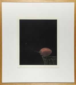 武田史子版画額「タマリロとてんとう虫」/Fumiko Takedaのサムネール