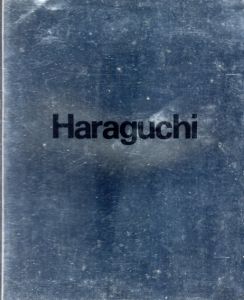 原口典之展　New Work/Noriyuki Haraguchiのサムネール