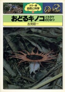 おどるキノコ　イカタケのひみつ　カラー版自然と科学31/吉見昭一