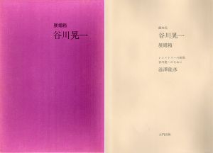 絵次元　展翅箱　谷川晃一/谷川晃一　澁澤龍彦文のサムネール