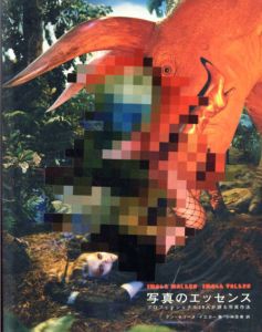 写真のエッセンス　プロフェッショナル28人が語る写真作法/アン=セリーヌ・イエガー　小林美香訳
