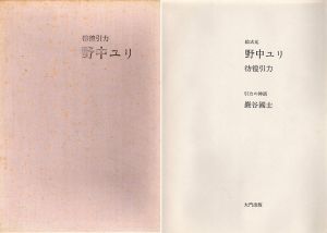 絵次元　彷徨引力　野中ユリ/野中ユリ　巌谷國士文のサムネール