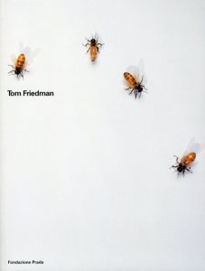 トム・フリードマン　Tom Friedman/Tom Friedman/Germano Celant/Mario Perniola