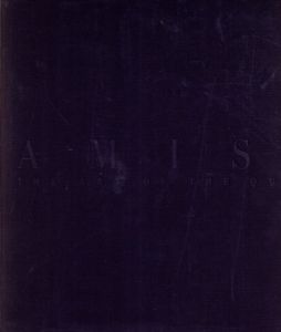 Amish The Art Of The Quilt/