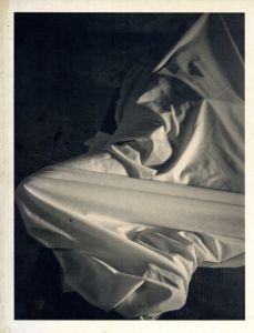 ディヴィッド・サーレ　David Salle: Photographs/David Salle