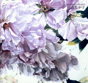 一色ちか子　Isshiki Chikako/