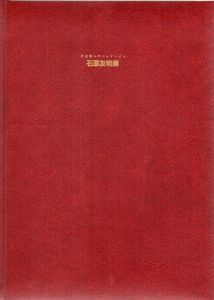 石原友明展　美術館へのパッサージュ/のサムネール