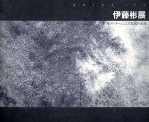 伊藤彬展　モノクロームによる現代の表現/伊藤彬