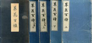 草花百種 全4冊揃/幸野楳嶺・幸野西湖