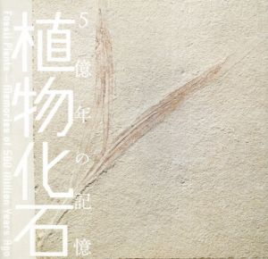 植物化石　5億年の記憶　Inax Booklet/塚越実監