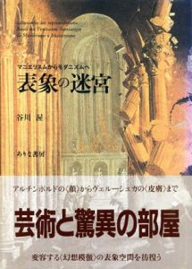 表象の迷宮 マニエリスムからモダニズムへ/谷川渥
