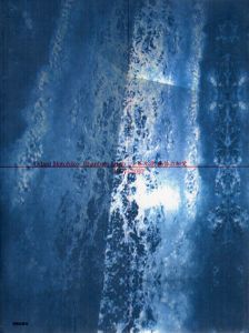 小谷元彦　幽体の知覚　Odani Motohiko Phantom Limb/小谷元彦
