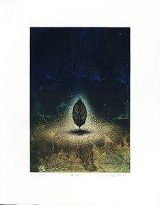 葉-4/若月公平のサムネール