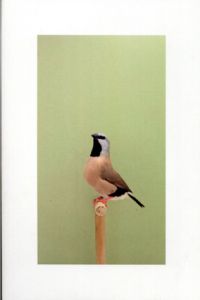 ルーク・ステファンソン　Luke Stephenson: An Incomplete Dictionary of Show Birds/Michael Smithはしがき