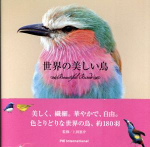 世界の美しい鳥/上田恵介監修
