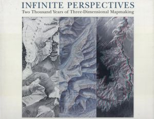Infinite Perspectives/Brian Ambroziak