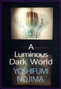 A Luminous Dark World　輝ける闇の世界　能島芳史展/能島芳史