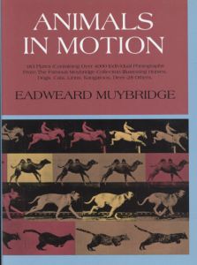 エドワード・マイブリッジ写真集　Animals in Motion (Dover Anatomy for Artists)/Eadweard Muybridge