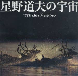 星野道夫の宇宙/星野道夫