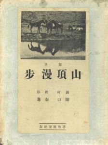 山頂漫歩/関口泰