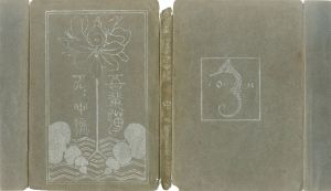 吾輩ハ猫デアル　中編/夏目漱石