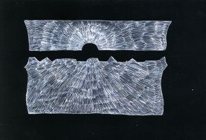 和田絢作品「鬼火-18」 / Aya Wada