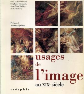 Usages de l'Image au XIXe Siecle/